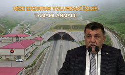 Karamehmetoğlu: Rize-Erzurum Yolumdaki İşler Tamamlanmalı