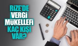 Rize'de Vergi Mükellefi Kaç Kişi var?