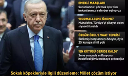 Erdoğan'dan Başıboş Köpek Düzenlemesi Açıklaması