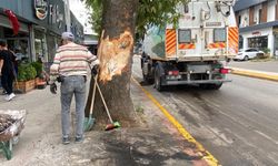 Freni Boşalan Kamyon Dehşet Saçtı