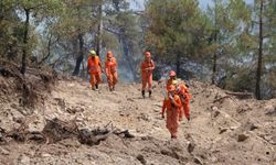 Bolu'daki Orman Yangını 72 Saatin Ardından Kontrol Altına Alındı