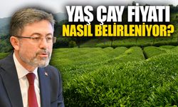 Yaş Çay Fiyatı Nasıl Belirleniyor?