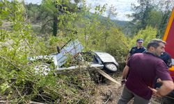 Seyir halinde kalp krizi geçiren sürücü hayatını kaybetti