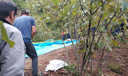 Kontrolden Çıkan Traktör Dere Yatağına Devrildi: 1 Ölü