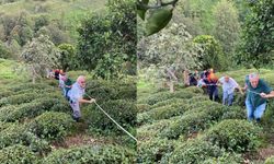 Rize'de İlkel Teleferikten Düşen Kadın Yaralandı