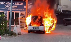 Park Halindeki Otomobil Alev Topuna Döndü