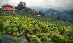 Rize'de bugün: 3 Eylül Salı