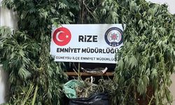 Rize’de Zehir Tacirlerine Geçit Verilmedi!