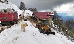 Rize’de Yaylada Mahsur Kalan 6 Kişi Kurtarıldı