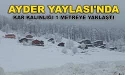 Ayder Yaylası'nda Kar Kalınlığı 1 Metreye Yaklaştı