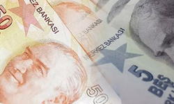 50 TL ve 5 TL’lik yeni banknotlar tedavüle verildi