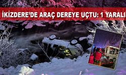 İkizdere’de Araç Dereye Uçtu: 1 Yaralı