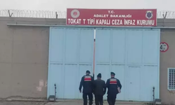 21 Yıl Hapis Cezasına Çarptırılan Dolandırıcı Yakalandı