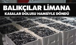 Hamsi Balıkçıların Rotasını İğneada’ya Çevirdi