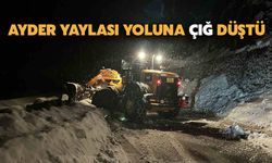 Ayder Yaylası Yoluna Çığ Düştü, Trafik 1 Saat Aksadı