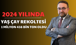 2024 Yılında Yaş Çay Rekoltesi 1 Milyon 438 Bin Ton Oldu