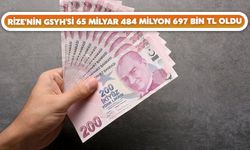 Rize'nin GSYH'si 65 Milyar 484 Milyon 697 Bin TL Oldu