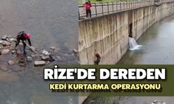 Rize'de Dereden Kedi Kurtarma Operasyonu