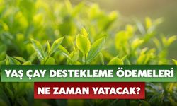 Yaş Çay Destekleme Ödemeleri Ne Zaman Yatacak?