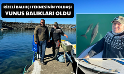 Rizeli Balıkçı Teknesinin Yoldaşı Yunus Balıkları Oldu