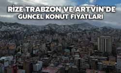 Karadeniz’de Satılık Konut Fiyatları: Rize, Trabzon ve Artvin’de Son Durum