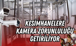 Kesimhanelere Kamera Zorunluluğu Geliyor