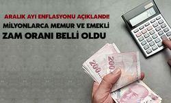 Aralık Ayı Enflasyonu Açıklandı! Milyonlarca Memur Ve Emekli Zam Oranı Belli Oldu