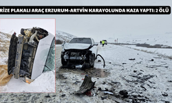 Rize Plakalı Araç Erzurum-Artvin Karayolunda Kaza Yaptı: 2 Ölü