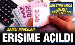 Emeklilere Yeni Maaş Zammı Açıklaması e-Devlet'te!