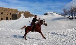 Tabyalarda Köklerden Göklere