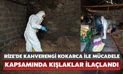 Rize'de Kahverengi Kokarca ile Mücadele Kapsamında Kışlaklar İlaçlandı