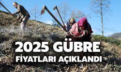 2025 Çay Gübre Fiyatları Ne Kadar?