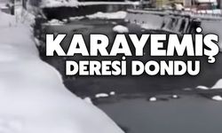 Karayemiş Deresi Dondu: Rize’de Dondurucu Soğuklar Etkili Oluyor