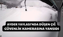 Ayder Yaylası'nda Düşen Çığ Güvenlik Kamerasına Yansıdı