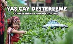 Yaş Çay Destekleme Ödemeleri Ne Zaman Yatacak?