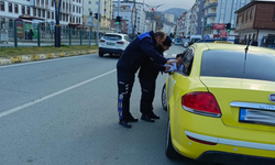 Çayeli'nde Trafik Denetimleri Yapıldı