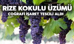 Rize Kokulu Üzümü Coğrafi İşaret Tescili Aldı