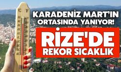 Rize'de Rekor Sıcaklık