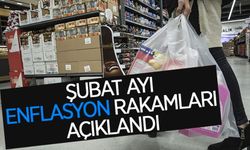 Şubat Ayı Enflasyon Rakamları Açıklandı