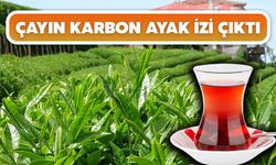 Çayın Karbon Ayak İzi Çıktı