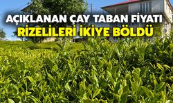 Açıklanan Çay Taban Fiyatı Rizelileri İkiye Böldü