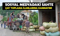 Sosyal Medyadaki Sahte Çay Toplama İlanlarına Kanmayın!