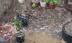 Artvin'de Dolu; Tarım Arazileri Zarar Gördü