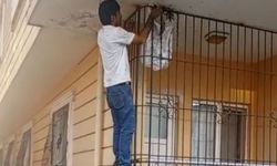 Çıplak Elle Yüzlerce Arının Arasına Girdi