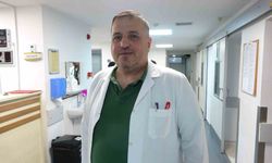 Havalar Isındı, Kene Kabusu Başladı