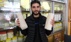 Norveç’ten Erzincan’a, Erzincan’dan Türkiye’ye Uzanan Ekonomik Değer