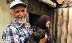 Üreticiye Yüzde 50 Hibeli Yumurta Tavuğu Desteği