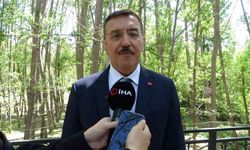 Zirai Don Destek Ödemeleri Başlıyor