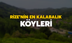 Rize'nin En Kalabalık Köyleri Belli Oldu