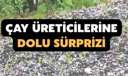 Çay Üreticilerine Dolu Sürprizi